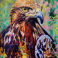 Expressive Bird Painting Series