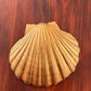 Decoupage Shell Trinket Trays Birthday Party