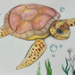 Watercolor Seaturtle - Brush Tips Art Studio
